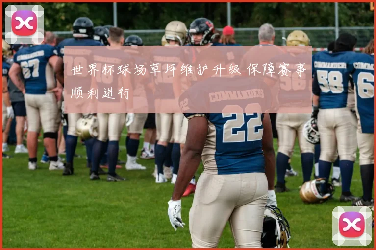 世界杯球场草坪维护升级 保障赛事顺利进行